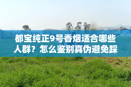 都宝纯正9号香烟适合哪些人群？怎么鉴别真伪避免踩坑？